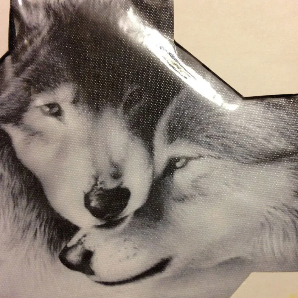 Wolf Art on Canvas, new